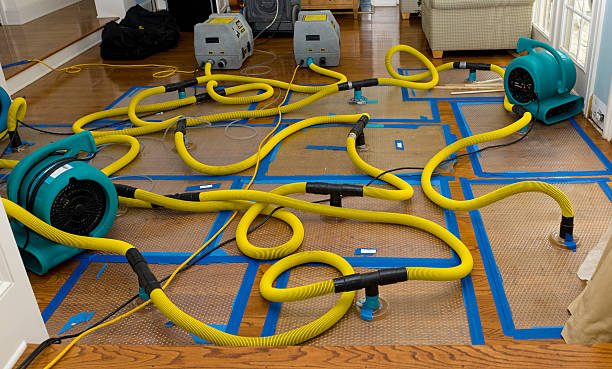 Professional Sewage Cleanup technician working in Danville, AR